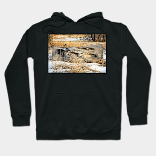 Cherry Creek Winter Study 3 Hoodie